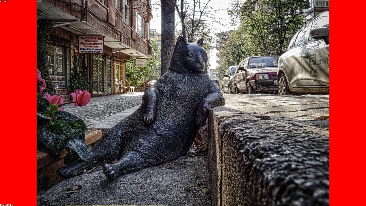 مهارات المعلم الرقمي: كيف تتقن أدوات التكنولوجيا الحديثة وتجعل دروسك أكثر تفاعلية؟