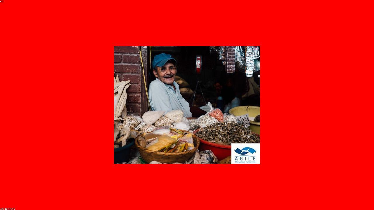 Building a Sustainable Lead Generation System